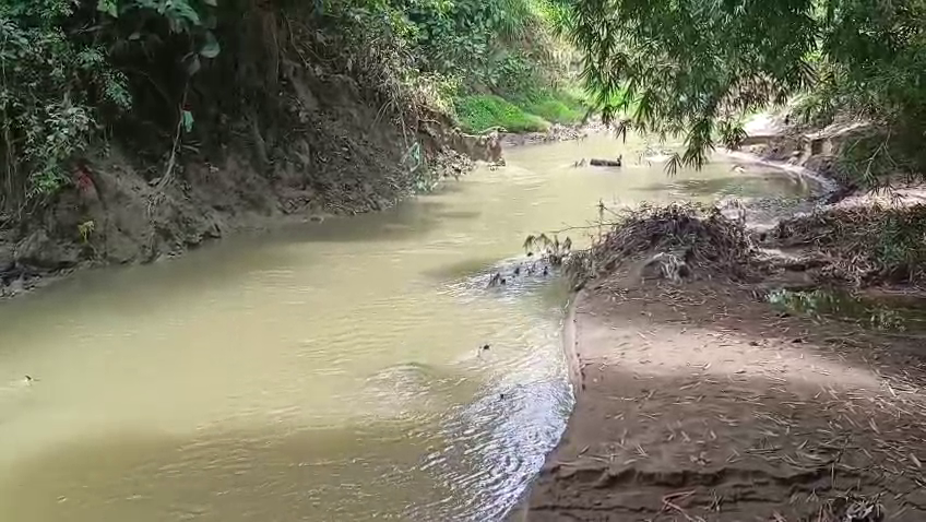 আমবাসায় উদ্ধার মানব কঙ্কাল।