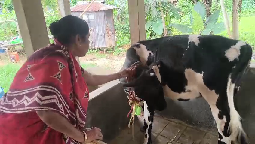 ত্রিপুরা খবর