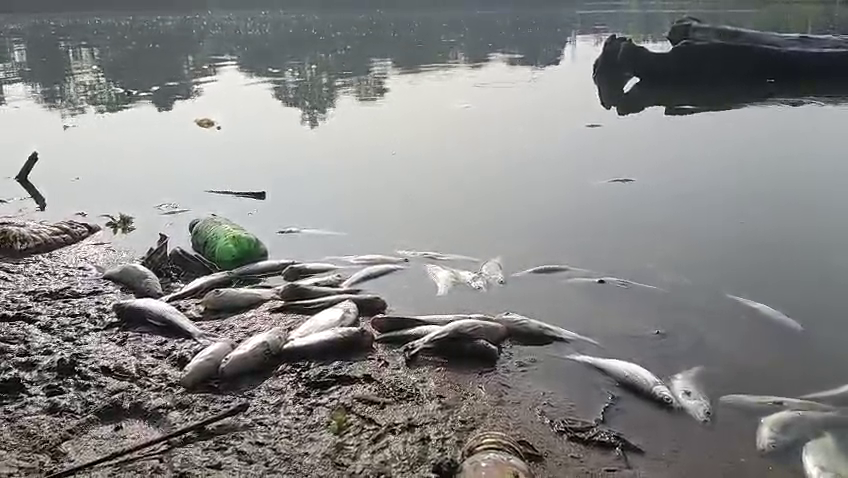 ত্রিপুরা খবর