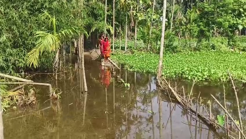ত্রিপুরা খবর