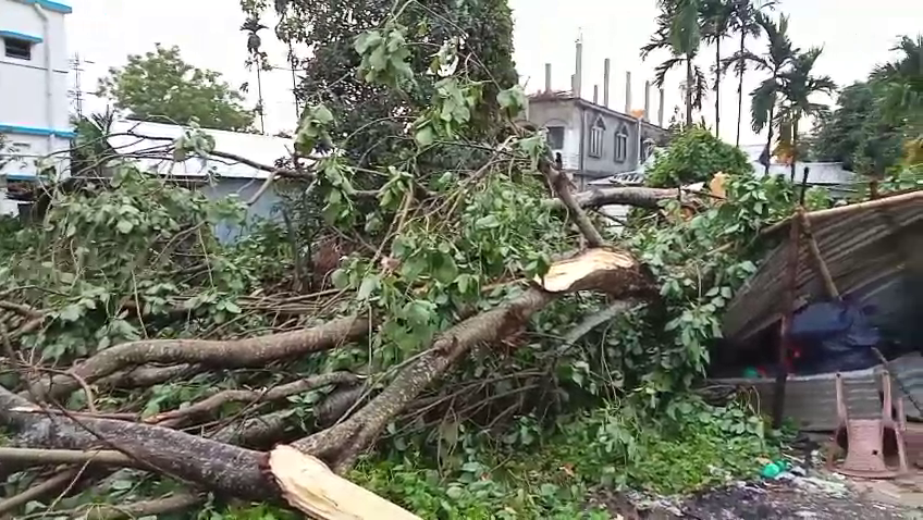 ত্রিপুরা খবর